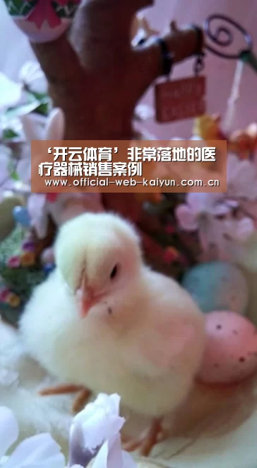 开云体育
