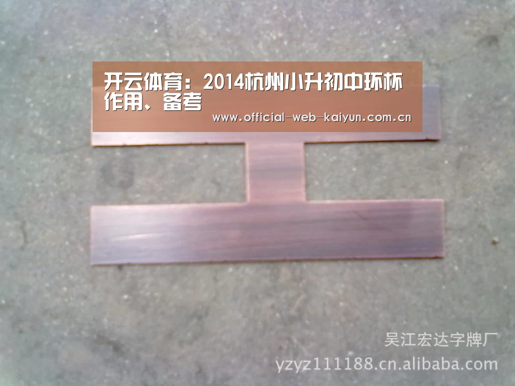 开云体育:2014杭州小升初中环杯作用、备考(图4) 开云体育