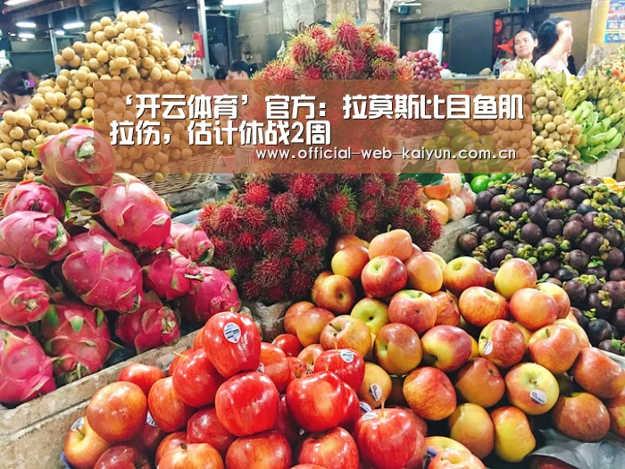 ‘开云体育’官方:拉莫斯比目鱼肌拉伤,估计休战2周(图2) 开云体育