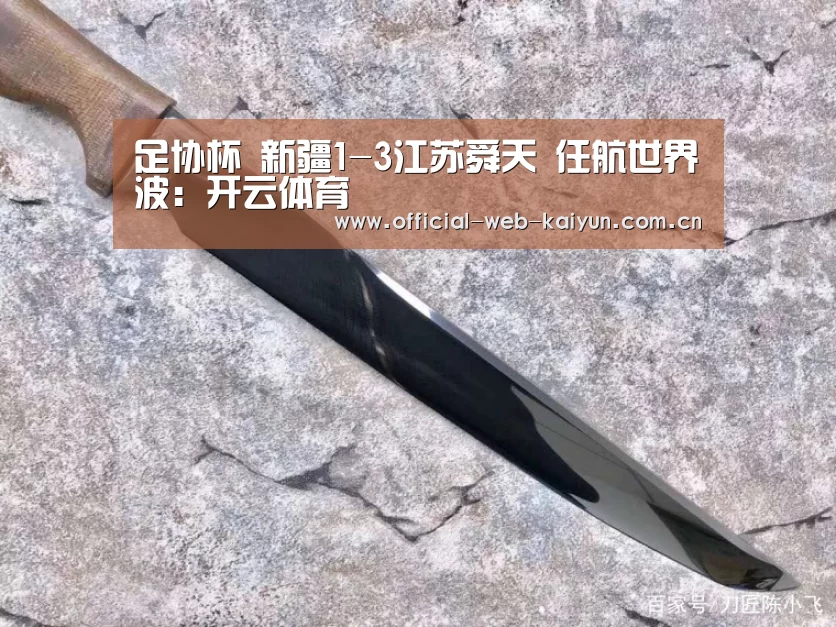 足协杯 新疆1-3江苏舜天 任航世界波:开云体育(图1) 开云体育