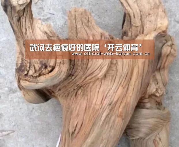 开云体育