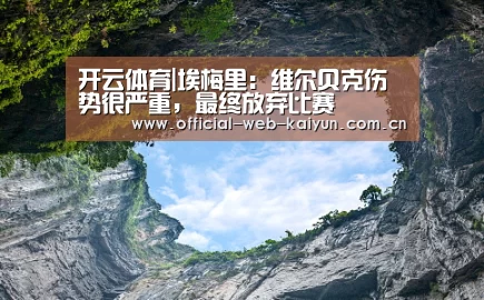开云体育|埃梅里:维尔贝克伤势很严重,最终放弃比赛(图3) 开云体育