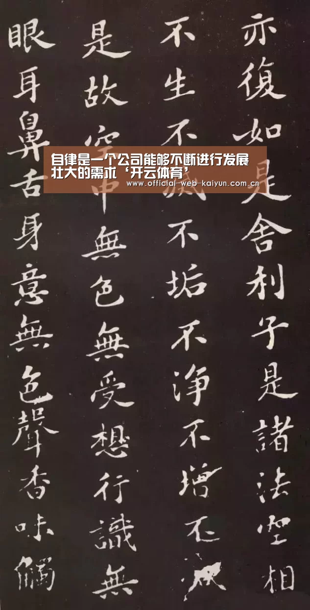 自律是一个公司能够不断进行发展壮大的需求‘开云体育’(图3) 开云体育