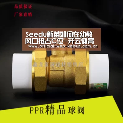 Seedu新苗如何在幼教风口抢占C位-开云体育(图2) 开云体育